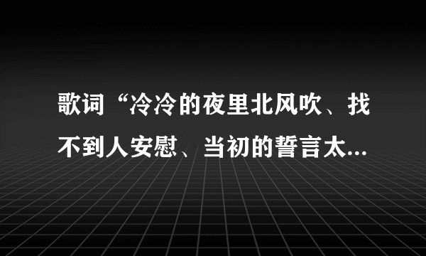 歌词“冷冷的夜里北风吹、找不到人安慰、当初的誓言太完美、让相思化成灰、、”是哪首歌里面的？