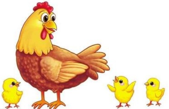 半壁河山指什么生肖