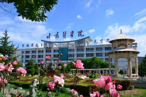 甘肃医学院专科分数线2021