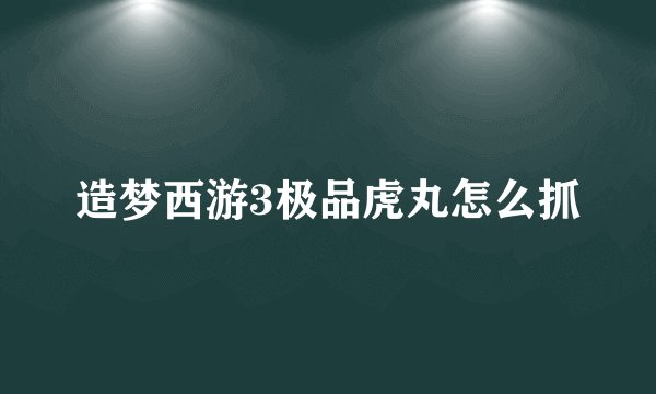 造梦西游3极品虎丸怎么抓