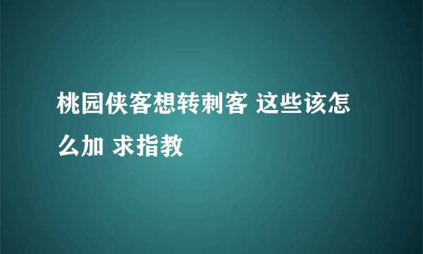 桃园侠客想转刺客 这些该怎么加 求指教