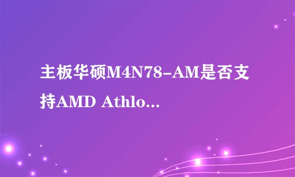 主板华硕M4N78-AM是否支持AMD Athlon II X2 245处理器