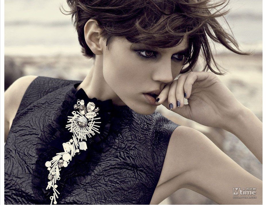 弗莱娅-贝阿·埃里克森的介绍