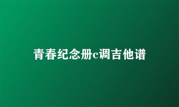 青春纪念册c调吉他谱