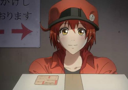 如何评价新番《工作细胞》?