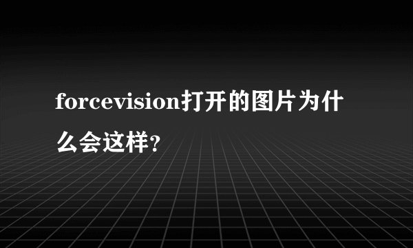 forcevision打开的图片为什么会这样？