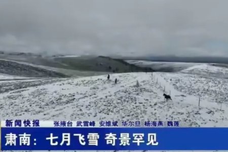 甘肃肃南七月飞雪，有牧民帐篷被压塌，今年的天气为何如此异常？
