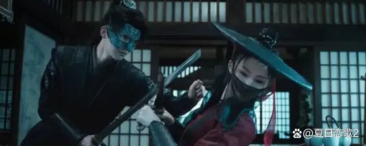 念念无明一周更新几集