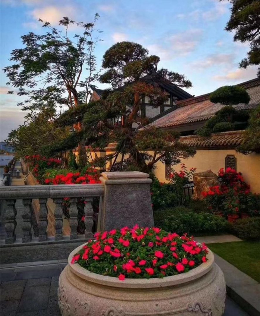 小学生自编自唱吐槽“五一”调休,你觉得她的吐槽有道理吗?