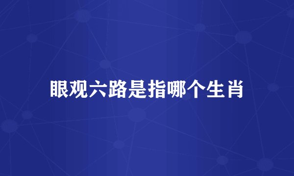 眼观六路是指哪个生肖