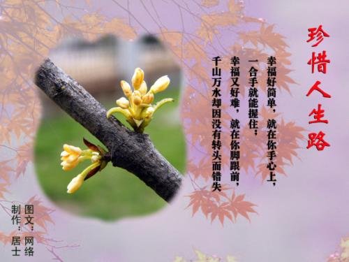 深圳一7旬老人疑因抑郁从19楼坠亡，警方的初步调查结果是什么？