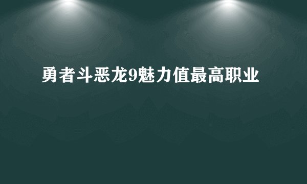 勇者斗恶龙9魅力值最高职业