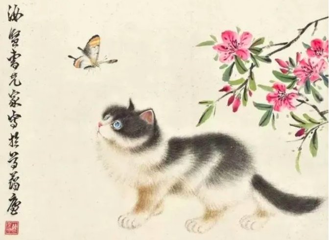 猜一猜:在中国古画里经常出现的“猫蝶相戏”,寓意是?