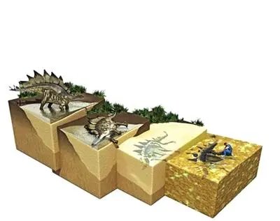 江西武宁县一工地发现数枚疑似恐龙蛋化石，它为何能保存这么久？