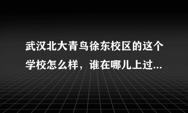 武汉北大青鸟徐东校区的这个学校怎么样，谁在哪儿上过学，跟我说一下