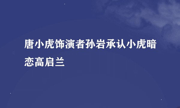 唐小虎饰演者孙岩承认小虎暗恋高启兰