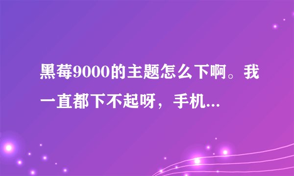 黑莓9000的主题怎么下啊。我一直都下不起呀，手机上可以下不？？？