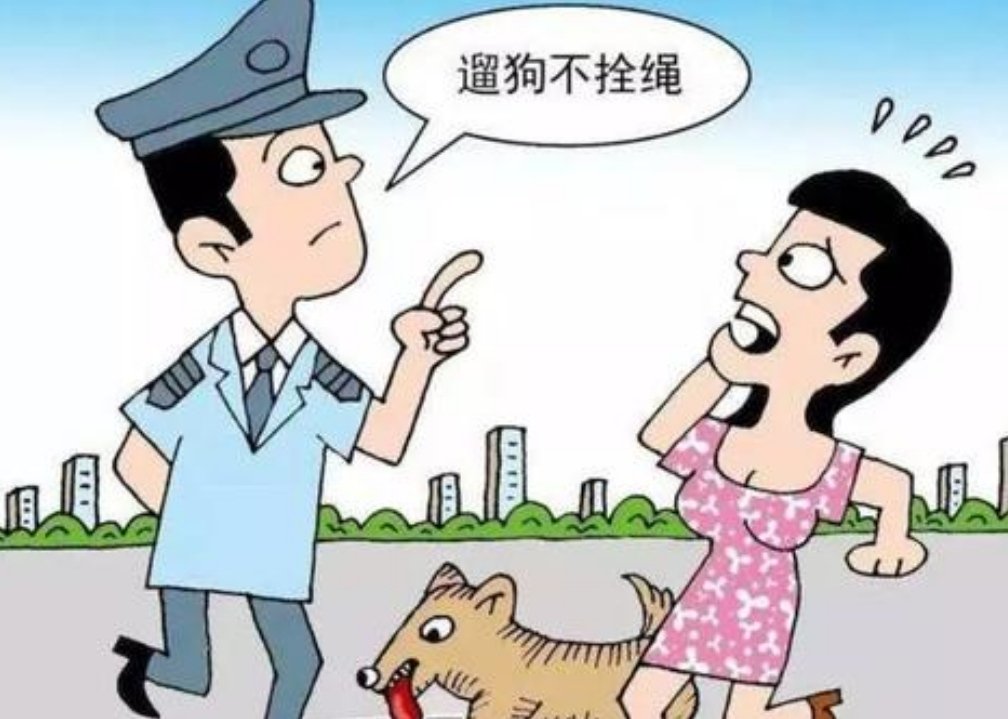 遛狗不栓绳子被罚2500元,对于这种遛狗不栓绳的现象你有什么想说的?