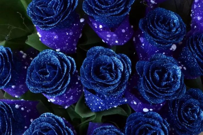 蓝色妖姬是如何制作的