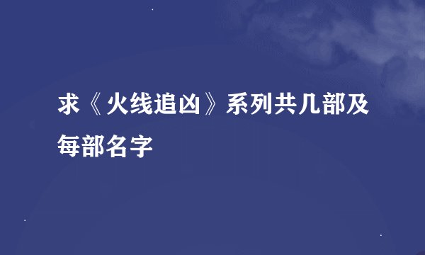 求《火线追凶》系列共几部及每部名字