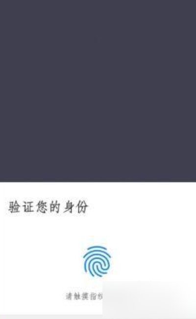 手机谷歌账户登录不上怎么办？