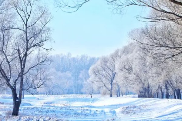 以下哪句古诗描写的是冬天的景色