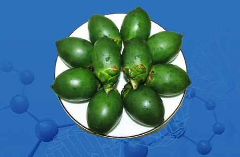 槟榔口香糖兴起，这能否促进槟榔产业的转型？