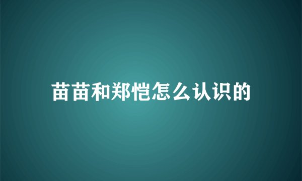 苗苗和郑恺怎么认识的