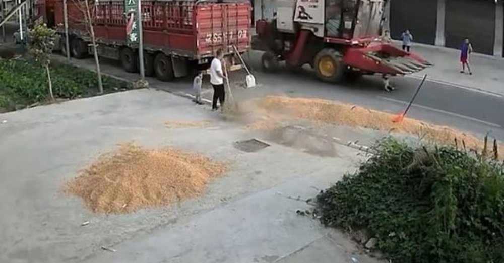 安徽毫州一男孩被收割机撞倒奇迹生还,这名男孩到底是如何躲过一劫的?