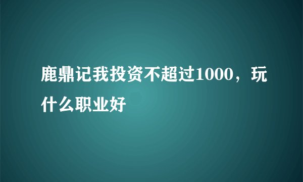 鹿鼎记我投资不超过1000，玩什么职业好