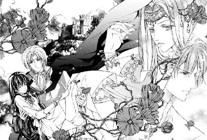 白羽归楼的介绍