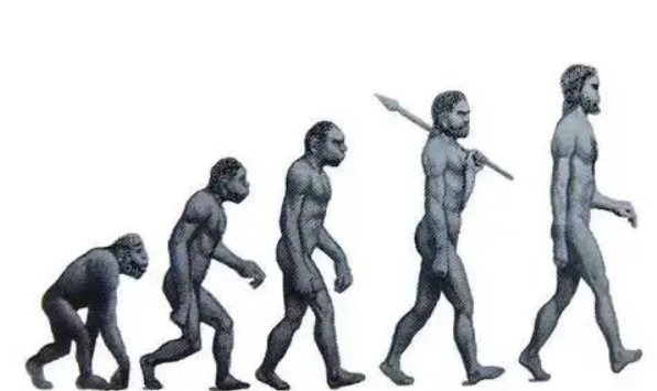 人类以后还会进化吗