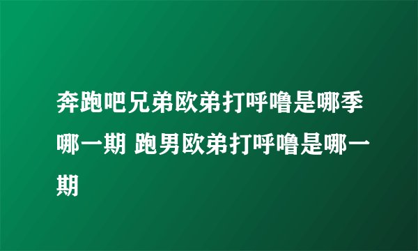 奔跑吧兄弟欧弟打呼噜是哪季哪一期 跑男欧弟打呼噜是哪一期