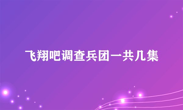 飞翔吧调查兵团一共几集