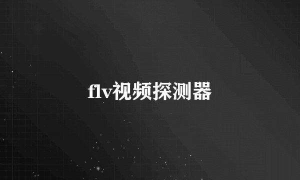 flv视频探测器