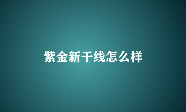 紫金新干线怎么样