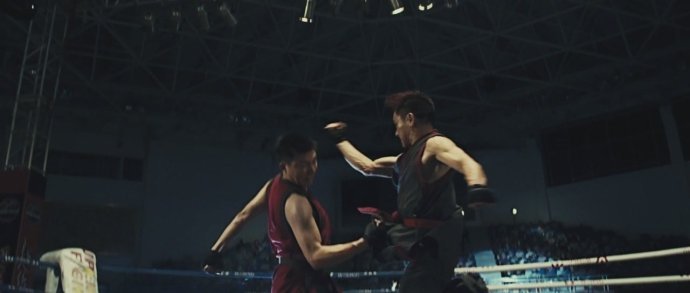 蔡李佛：极限拳速的相关资料