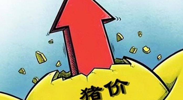 国家发改委两天三次出手稳猪价，猪价还会继续上涨吗？