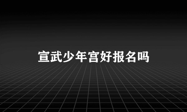 宣武少年宫好报名吗