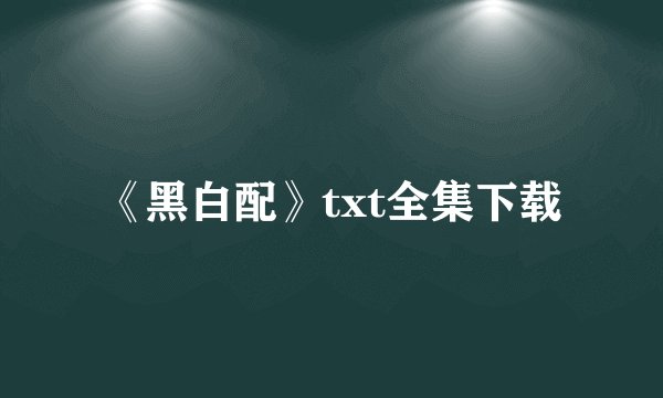 《黑白配》txt全集下载