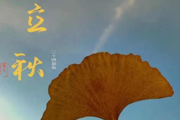 为什么立秋喝奶茶