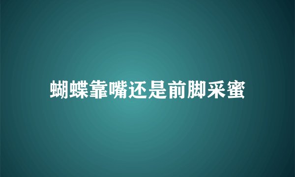 蝴蝶靠嘴还是前脚采蜜