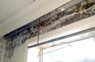 虫子乱爬、墙壁发霉，北海的隔离环境是认真的吗？