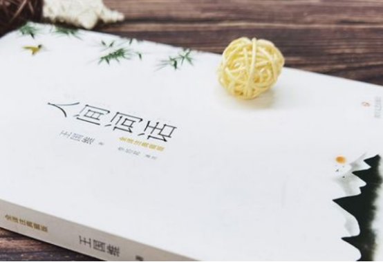 扛鼎之作的意思