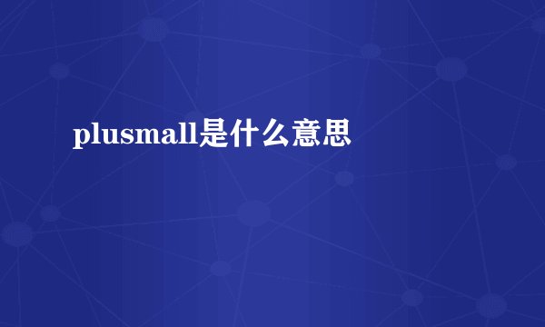 plusmall是什么意思