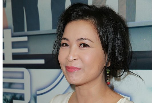 叠影危情分集介绍