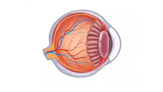 恩施2022年政策有白内障免费吗