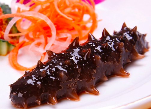 会进行“夏眠”的海洋动物是？