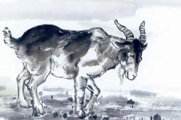 中途而废是指什么生肖