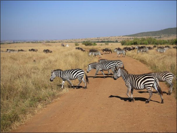 年薪20万你会考虑外派非洲吗